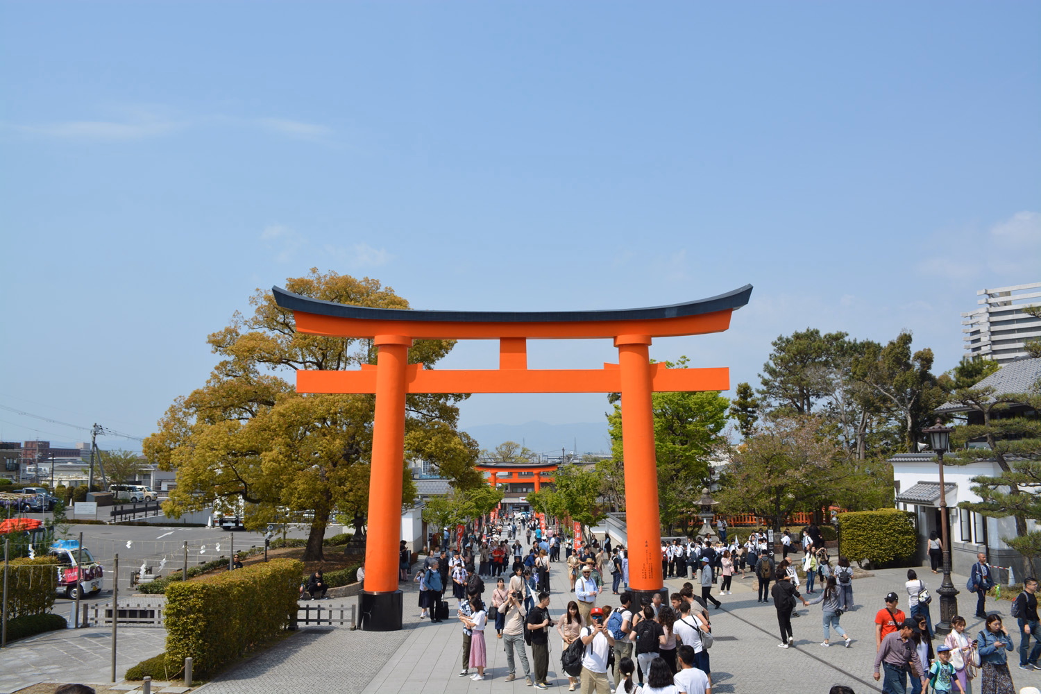 blog
